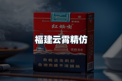 福建云霄精仿